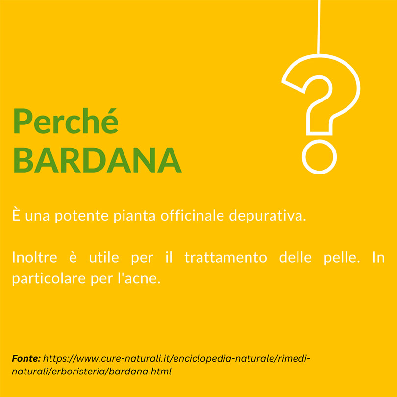 Fito Dren&Pur - Perché usiamo la Bardana?