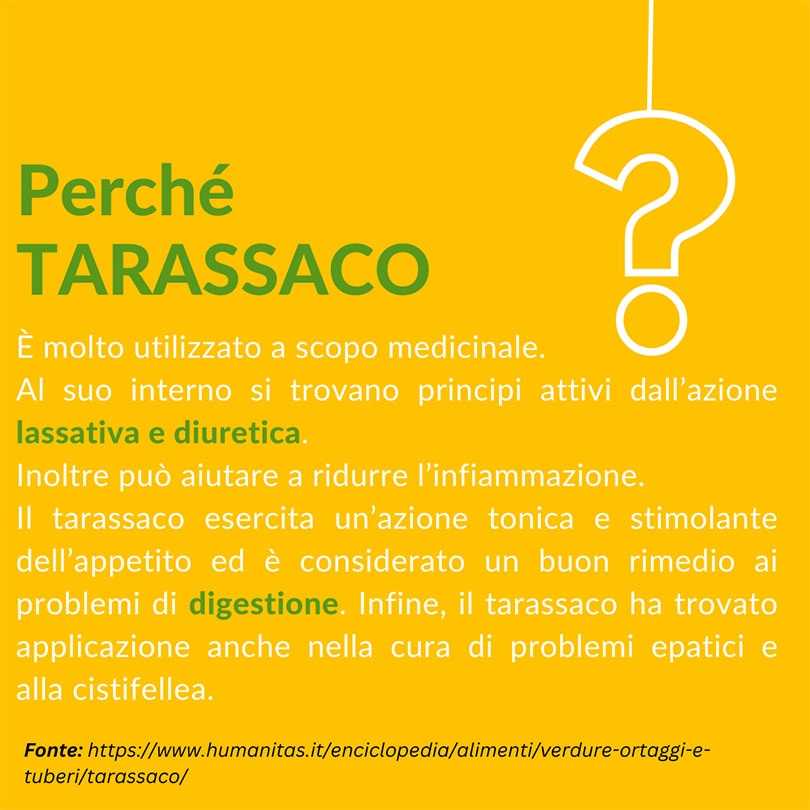 Fito Dren&Pur - Perché usiamo il tarassaco?