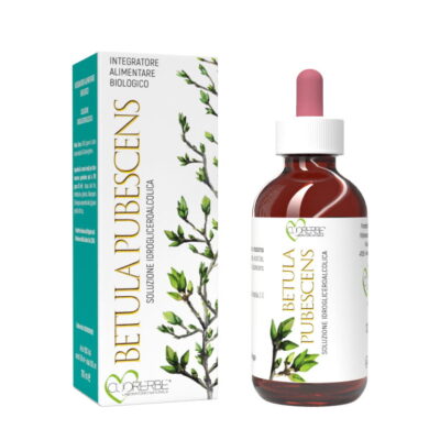 Gemmoderivato di Betulla pubescente (Betula pubescens) - gemme 100 ml