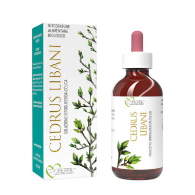 Gemmoderivato di Cedro del Libano (Cedrus libani) - giovani getti 100 ml