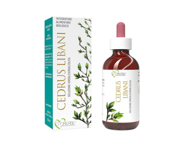 Gemmoderivato di Cedro del Libano (Cedrus libani) -  giovani getti 100 ml