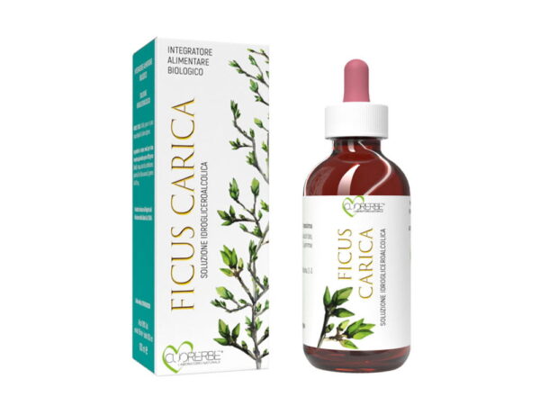 Gemmoderivato Ficus Carica (Fico) - Gemme - 100 ml