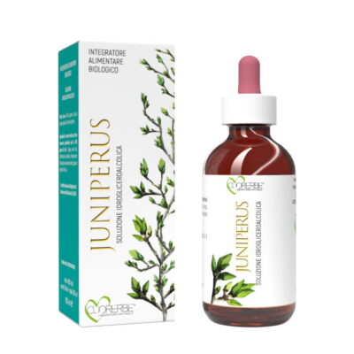 Gemmoderivato di Ginepro comune (Juniperus communis) - giovani getti 100 ml