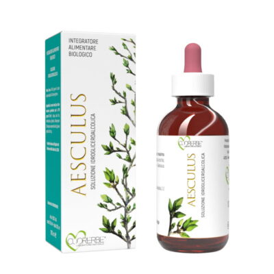 Gemmoderivato di Ippocastano (Aesculus hippocastanum) - gemme 100 ml
