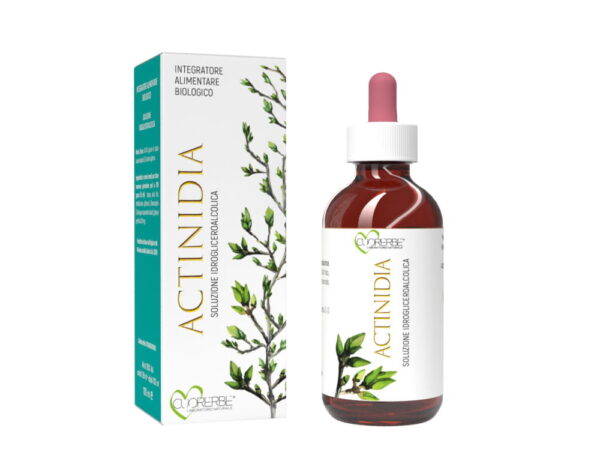 Gemmoderivato di Kiwi (Actinidia chinensis) - gemme 100 ml