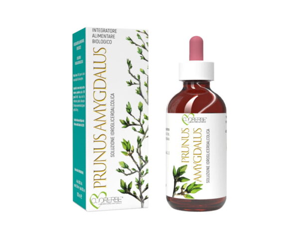 Gemmoderivato di Mandorlo (Prunus amygdalus) - gemme 100 ml