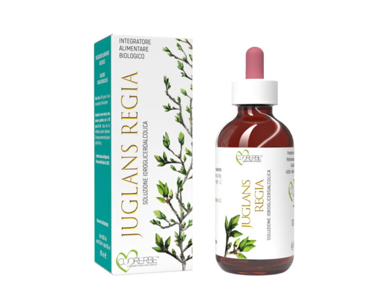 Gemmoderivato di Noce (Juglans regia) - gemme 100 ml