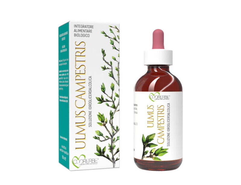 Gemmoderivato di Olmo campestre (Ulmus campestris) - gemme 100 ml