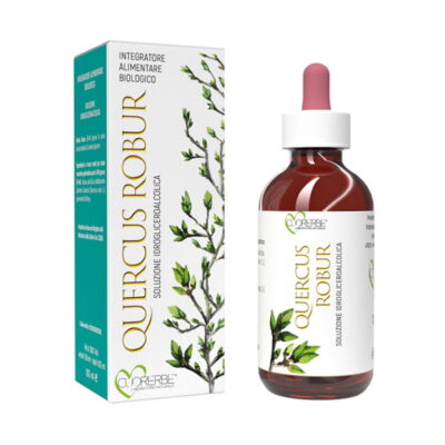Gemmoderivato Quercus Robur (Quercia) - Gemme - 100 ml