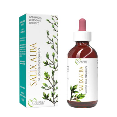Gemmoderivato di Salice bianco - gemme 100 ml