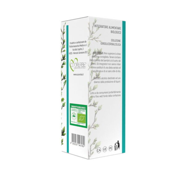 Gemmoderivato Sequoia Gigantea (Sequoia Gigante) - Giovani getti - retro - 100 ml