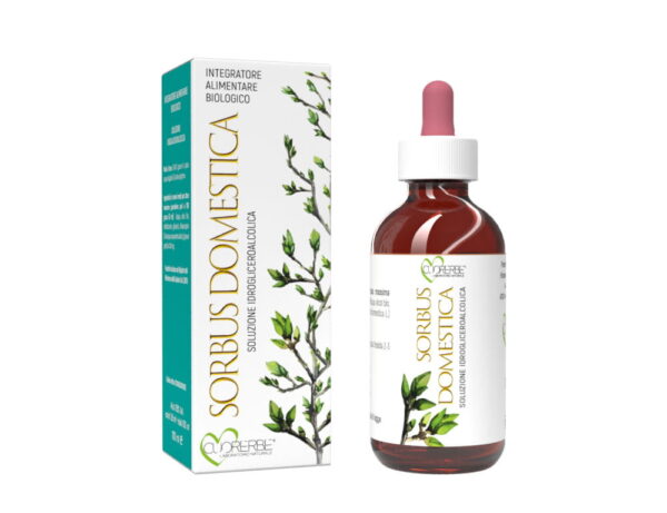 Gemmoderivato di Sorbo domestico (Sorbus domestica) - gemme 100 ml