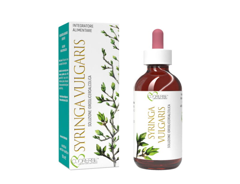 Gemmoderivato di Serenella (Syringa vulgaris) - semi 100 ml