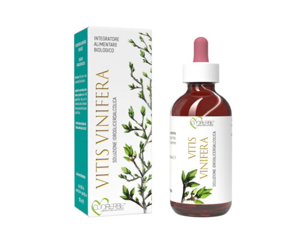 Gemmoderivato di Vite rossa (Vitis vinifera) - gemme 100 ml