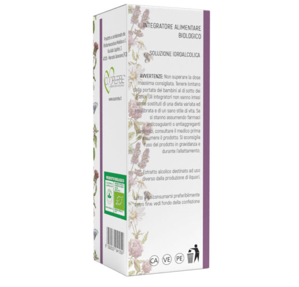 Tintura madre Biologica Ginkgo Retro
