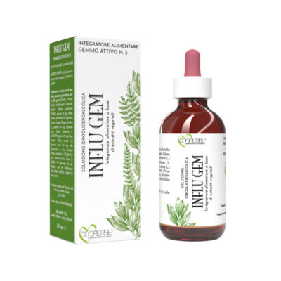 Gemmo Attivo n. 5 Influ Gem Soluzione idrogliceroalcolica 100 ml