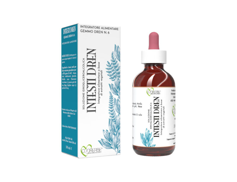 Gemmo Dren n. 6 Intesti Dren Soluzione idrogliceroalcolica 100 ml