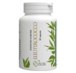 Integratore alimentare a base di Eleuterococco - 90 capsule - Flacone