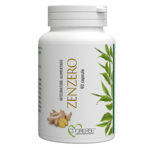 Integratore alimentare a base di Zenzero - 90 capsule - Flacone