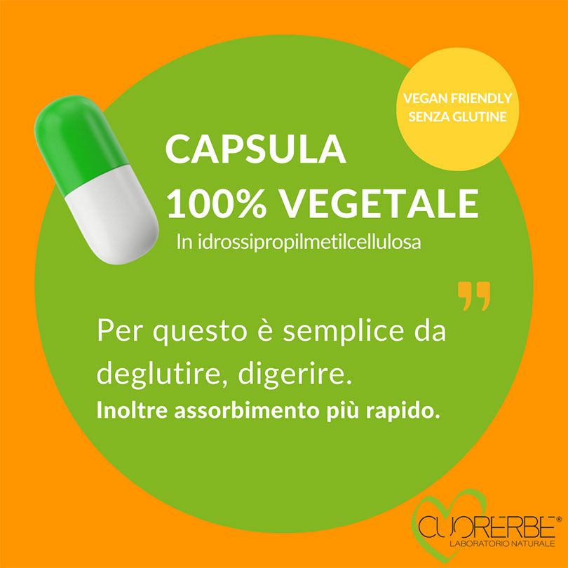 AlfaClimol - Capsula 100% vegetale