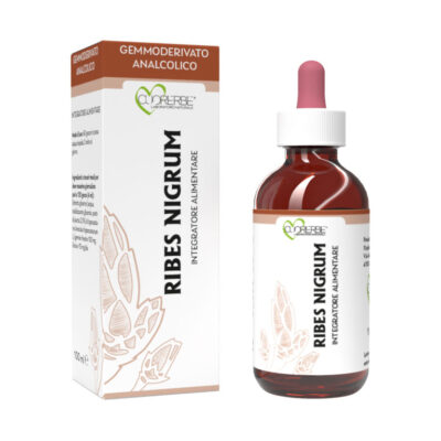 Gemmoderivato analcolico di Ribes nero (Ribes nigrum L.)