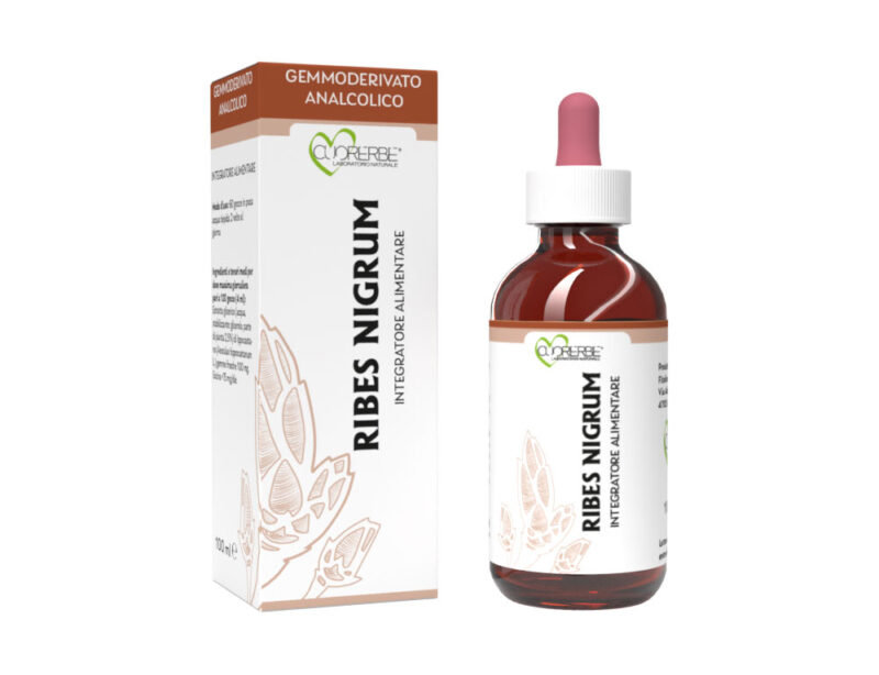 Gemmoderivato analcolico di Ribes nero (Ribes nigrum L.)